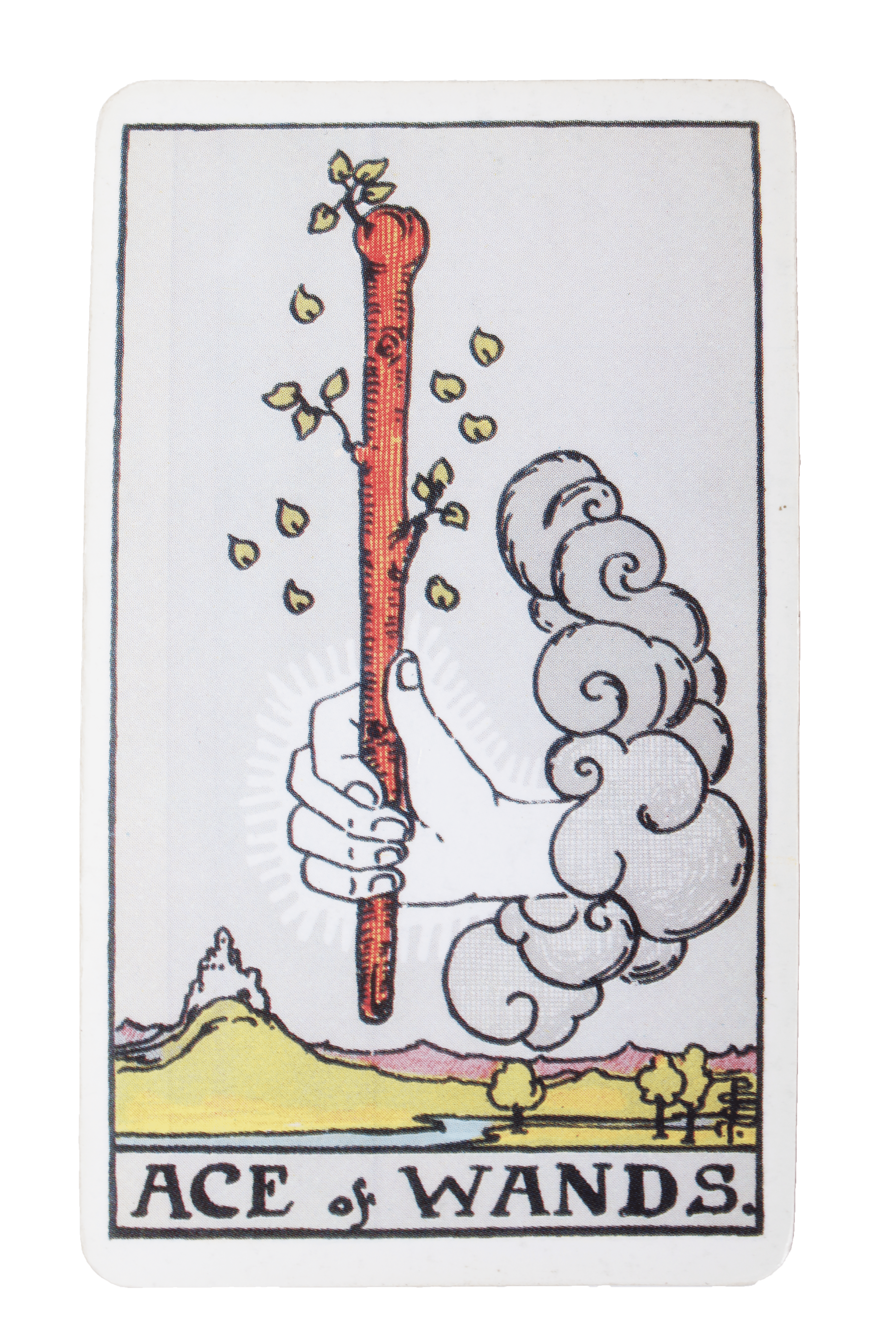 El Loco - Tarot de Liz