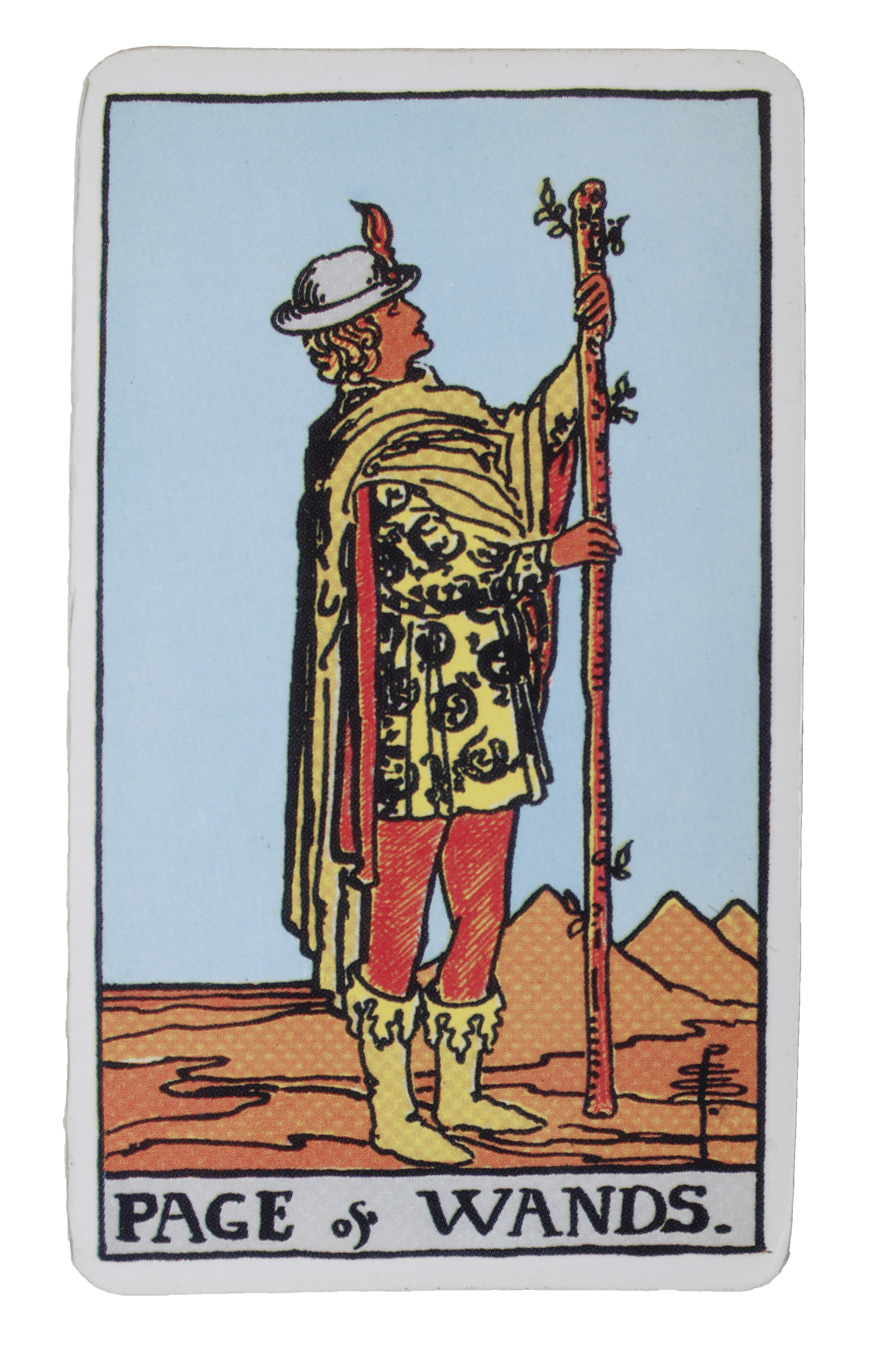 El Loco - Tarot de Liz