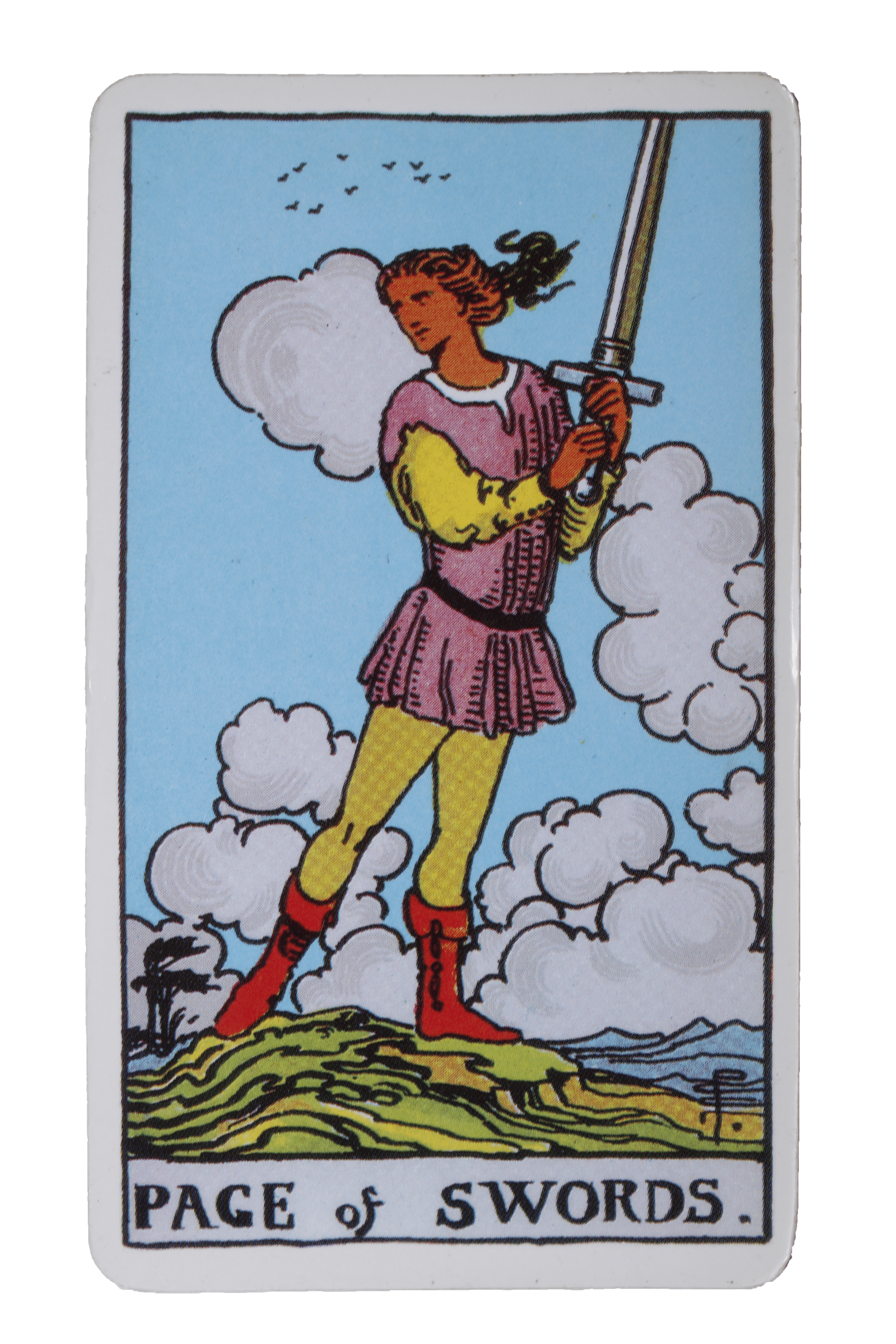 El Loco - Tarot de Liz