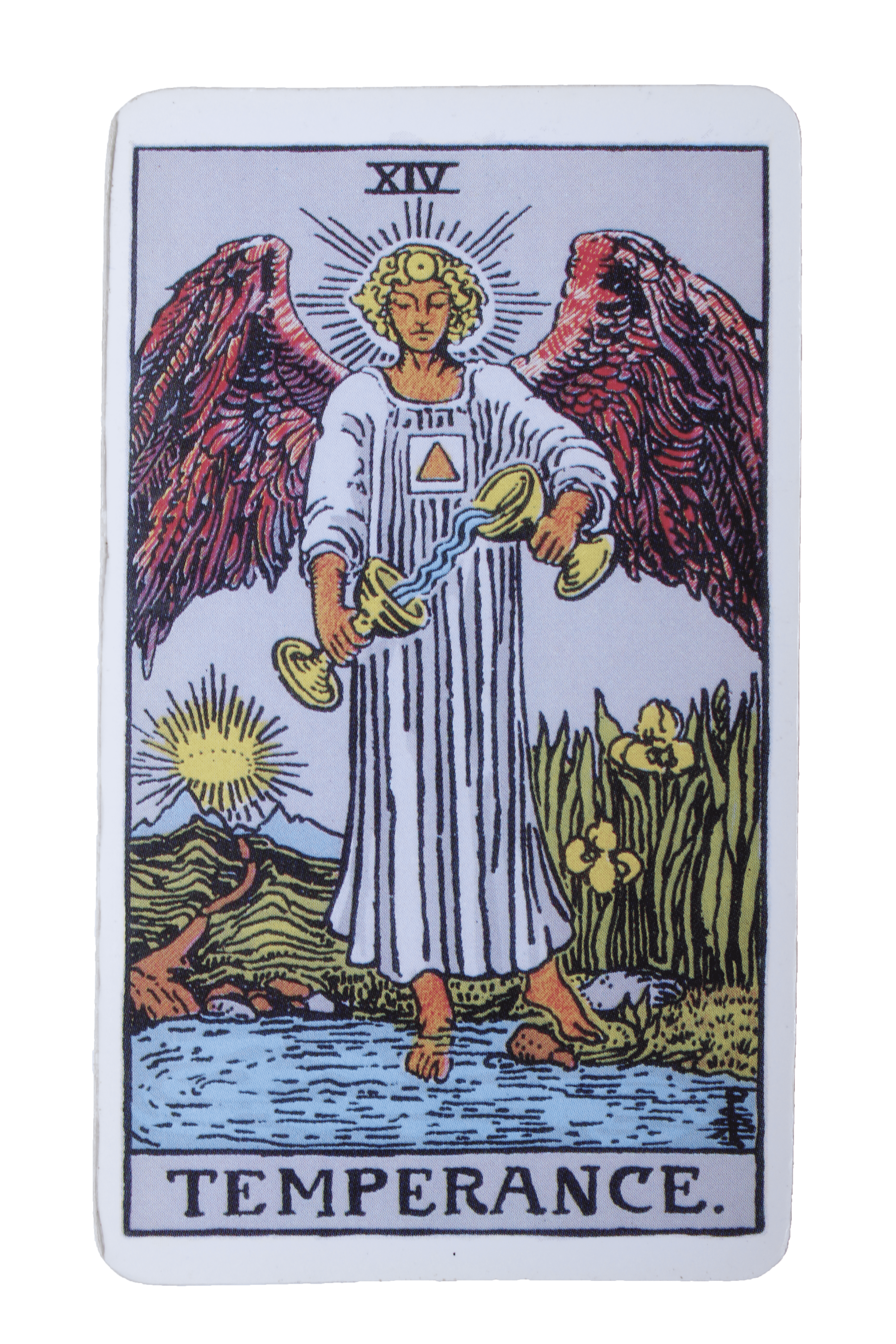 El Loco - Tarot de Liz