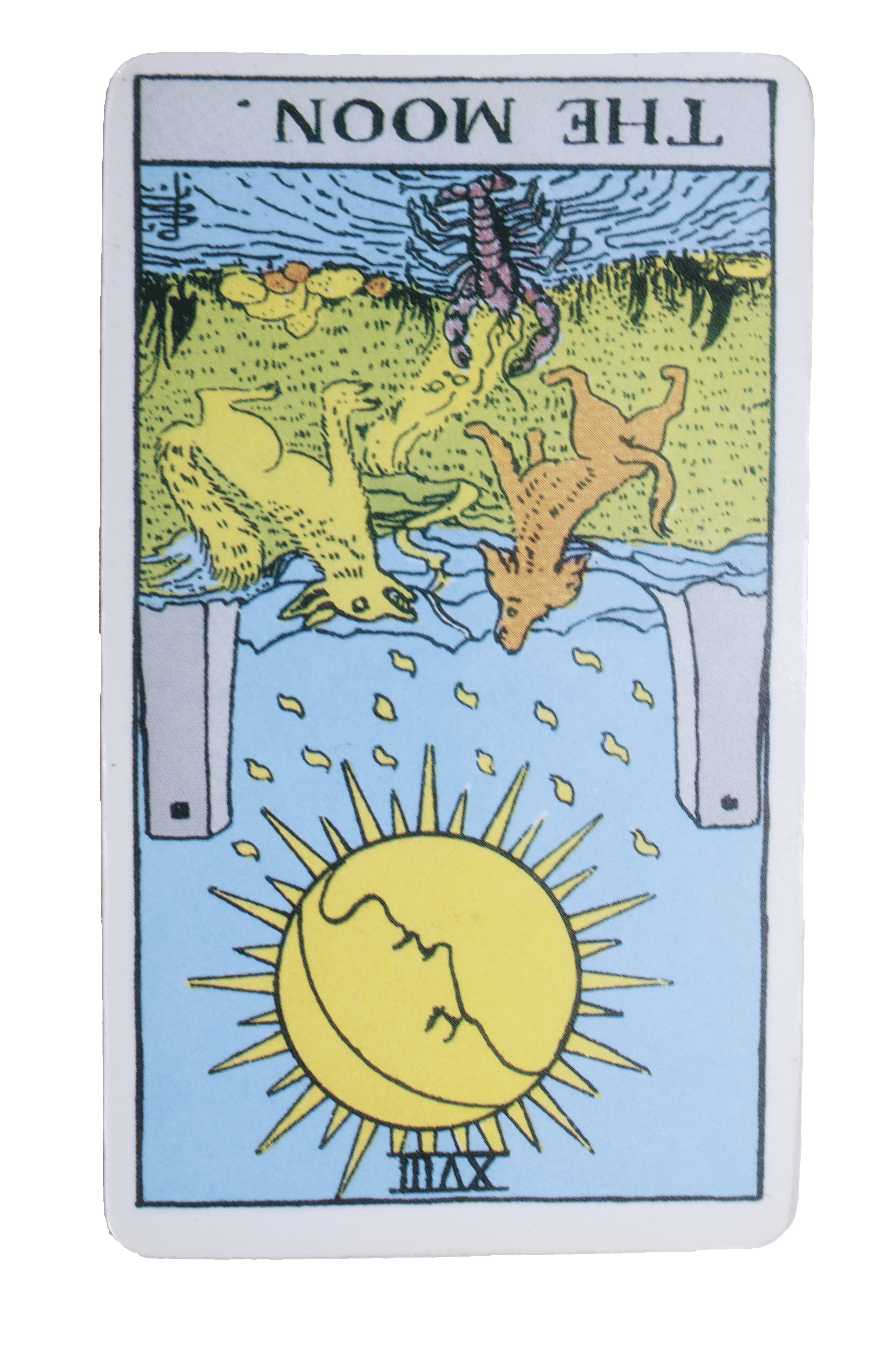 El Loco invetido - Tarot de Liz