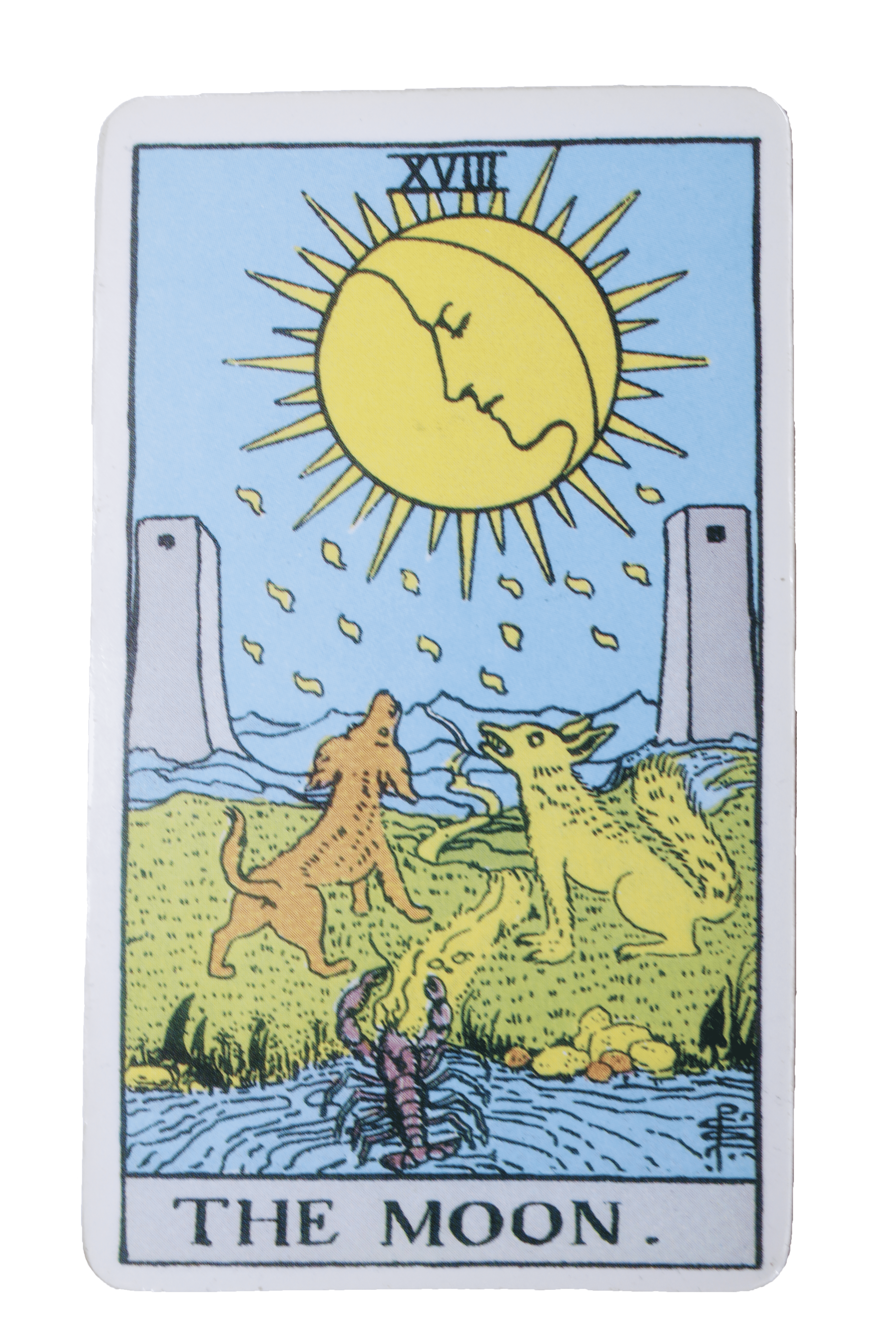 El Loco - Tarot de Liz