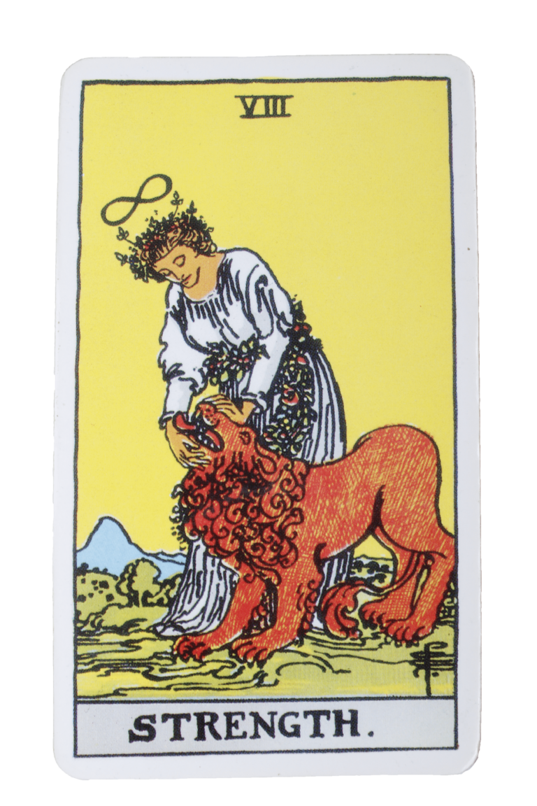 8. La Fuerza - Tarot de Liz